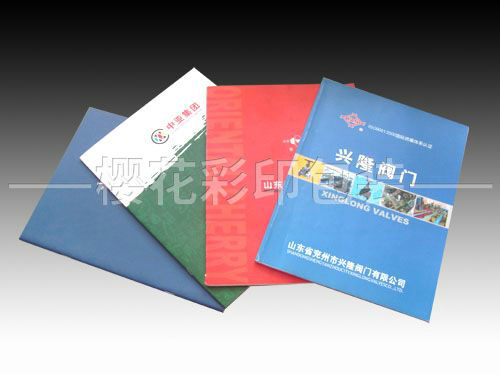 畫冊(cè)樣本 (3).jpg